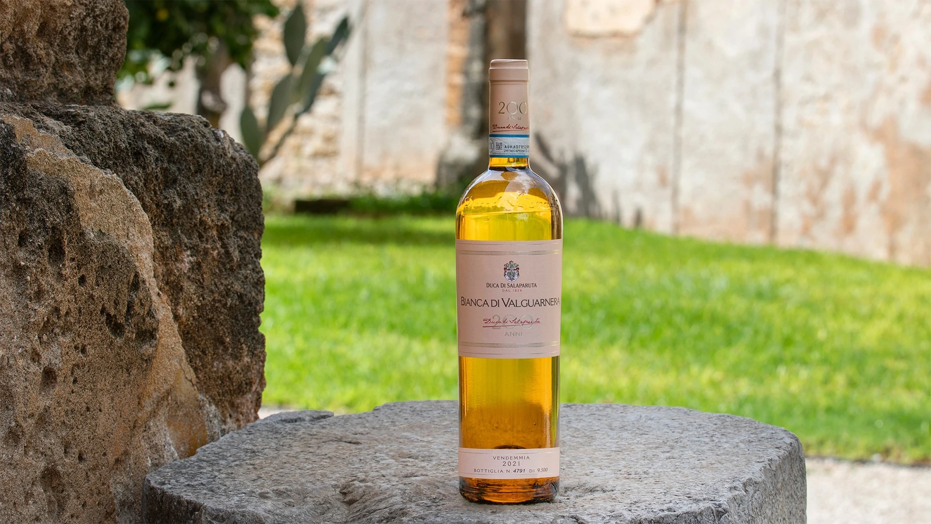 Passion for the native Insolia variety marries the slopes of western Sicily