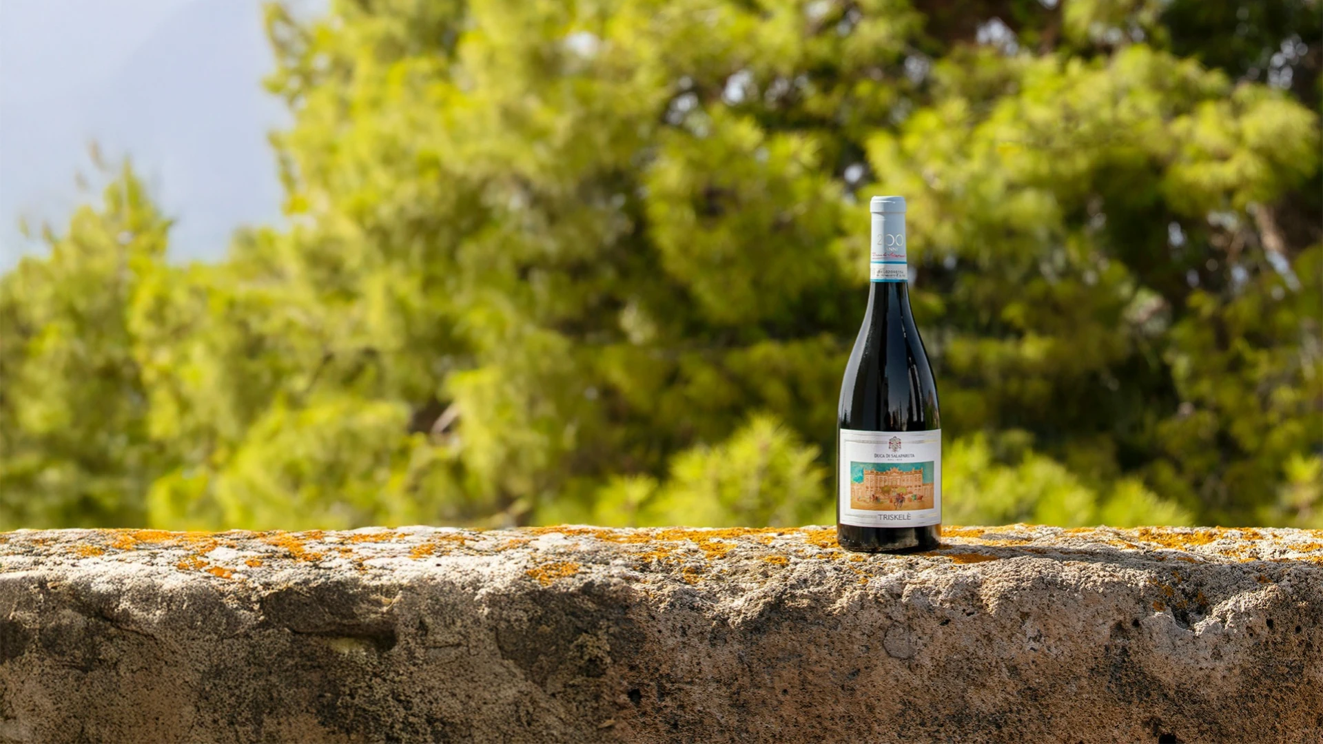 Un vino che parla di passione, territorio e radici profonde