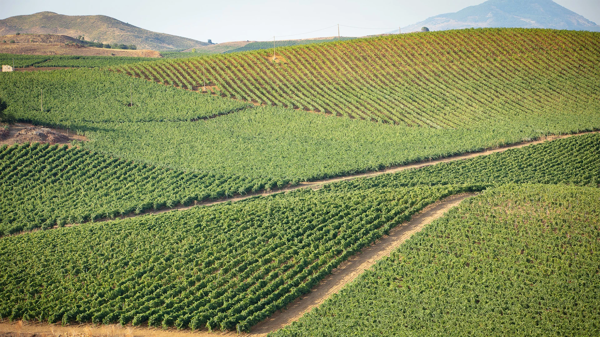 Winemaking challenge since 1824